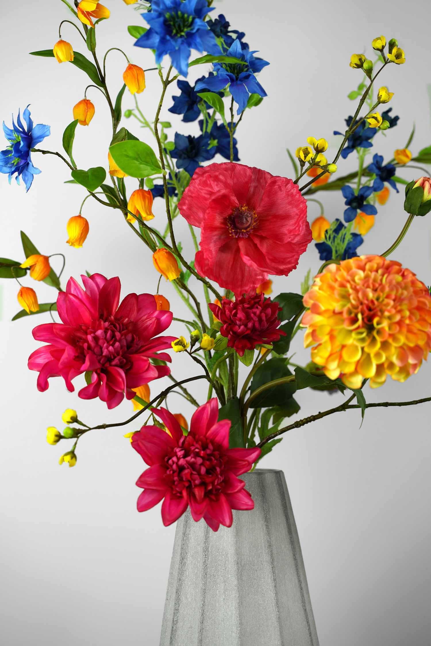 Campo di Colori