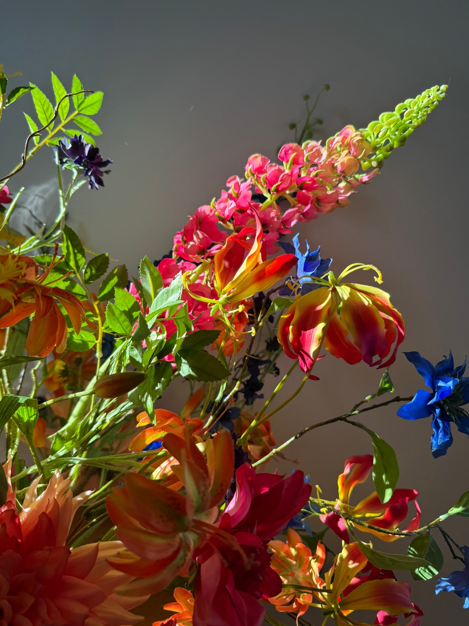 Campo di Colori