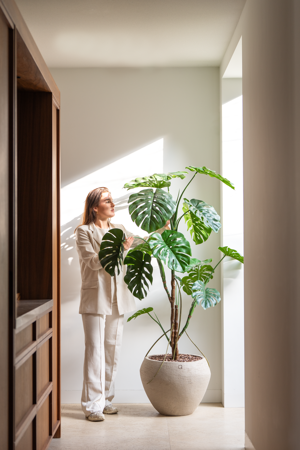 Monstera tree 180cm sfeerfoto