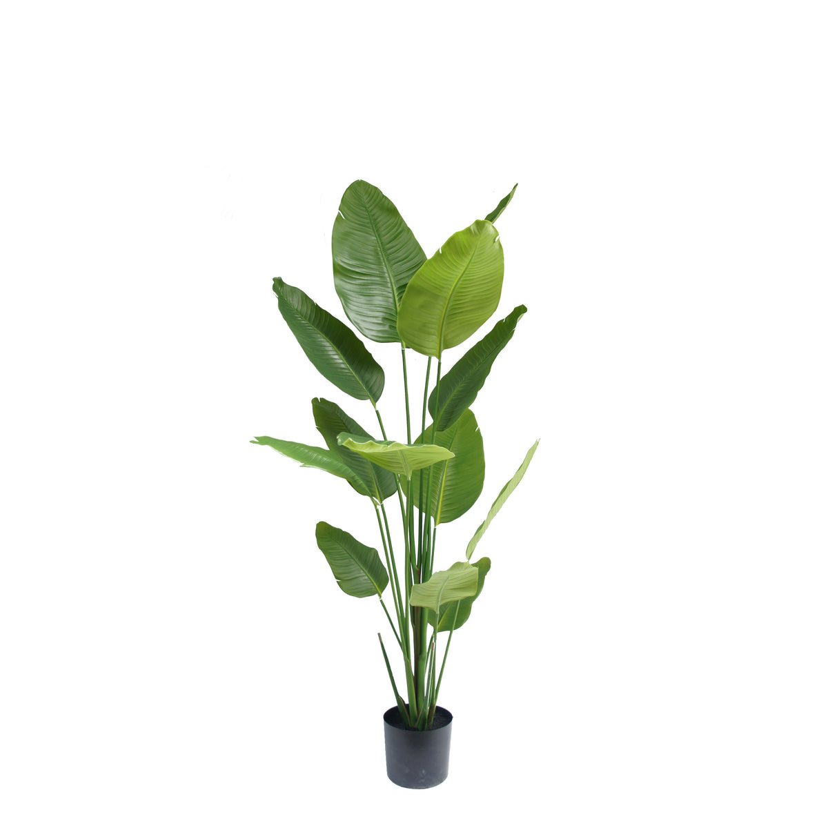 Kunst strelitzia 180 cm