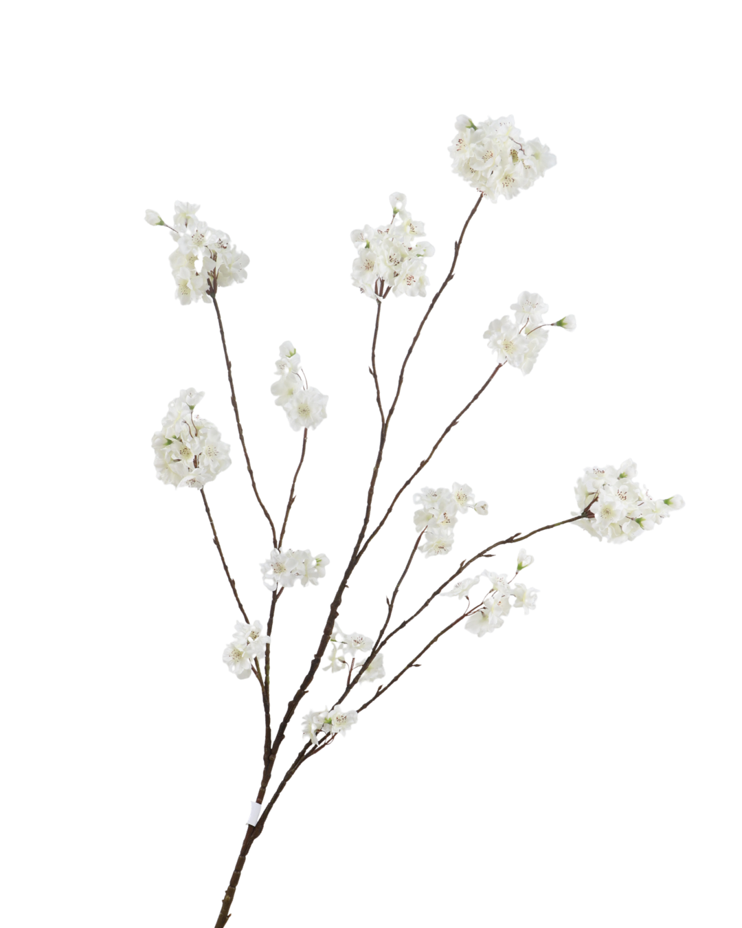 Zijden Premium Bloesemtak Crème 127 cm