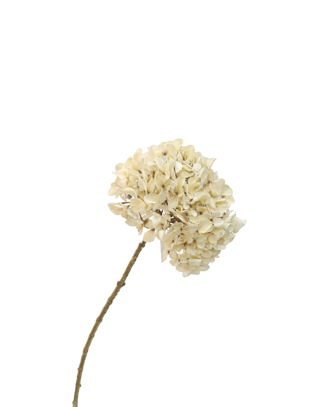 Zijden Hydrangea Crème 65 cm