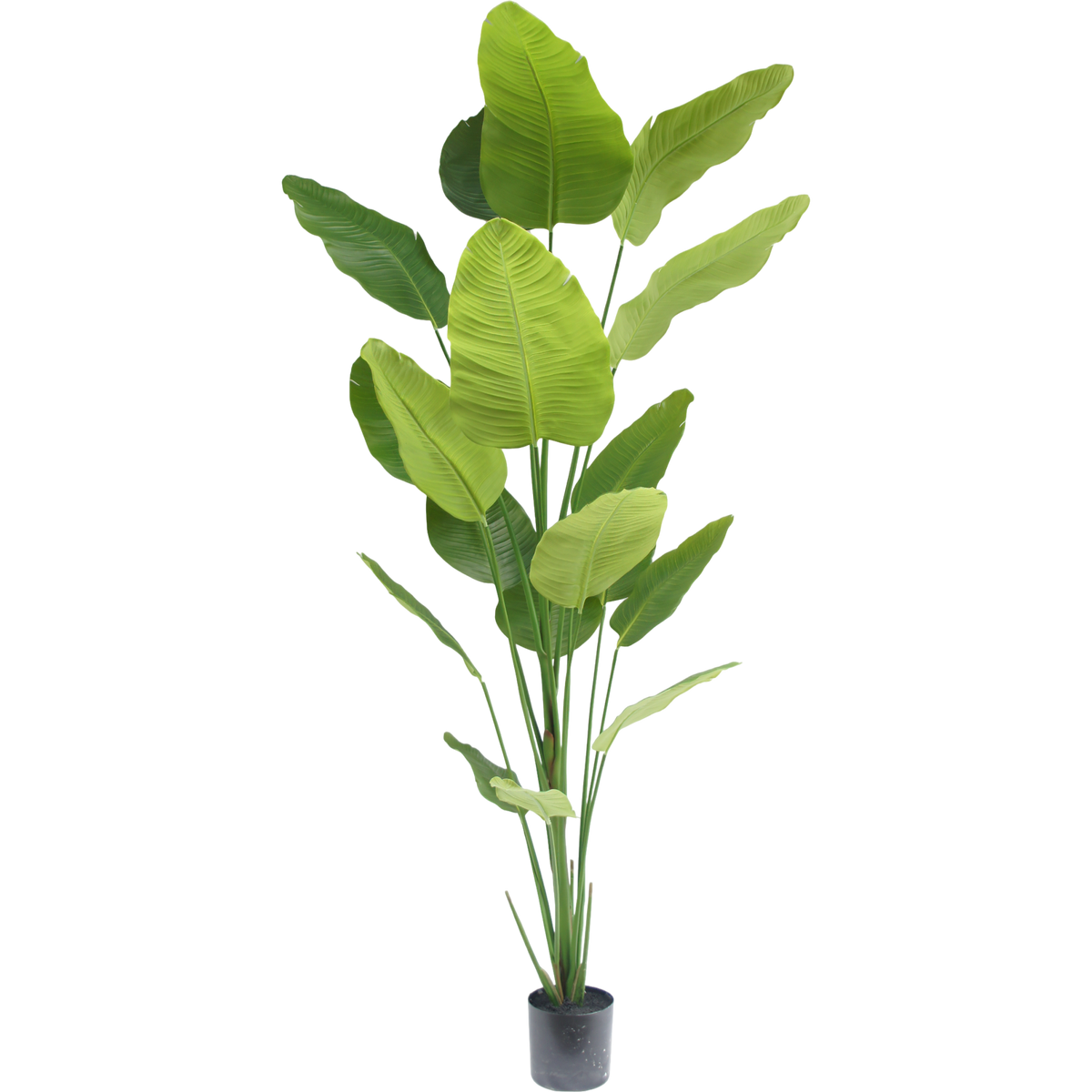 Kunst strelitzia 240 cm