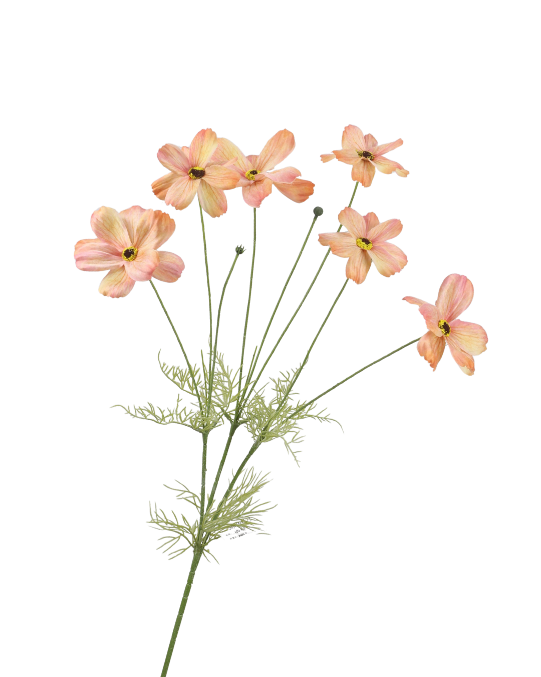 Zijden Cosmos Perzik 85 cm