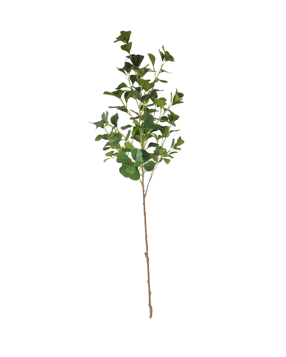 Zijden Ficus tak 110 cm