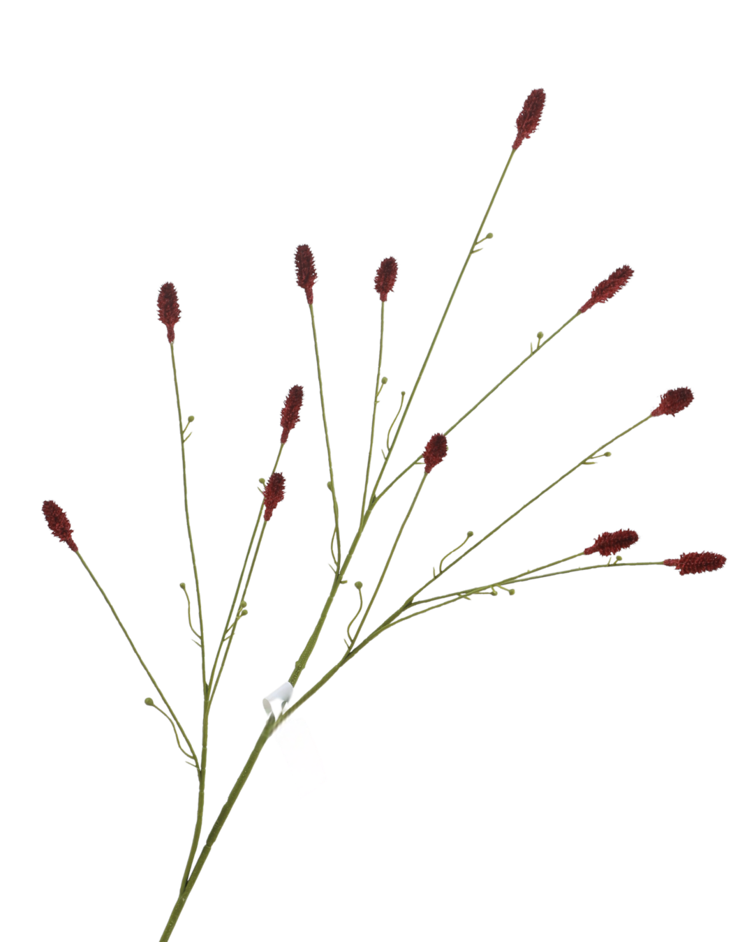 Zijden Sanguisorba Bordeaux 100 cm