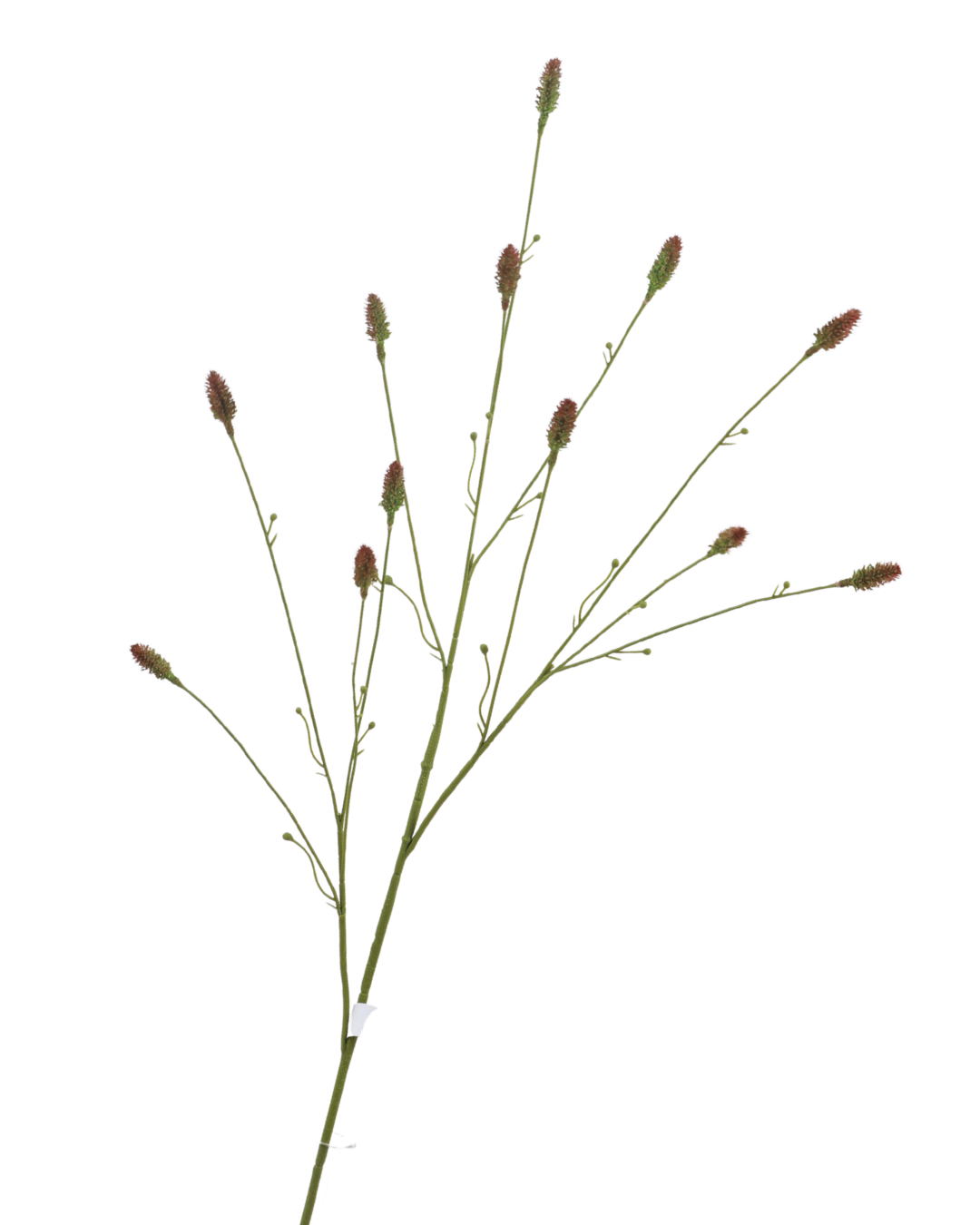 Zijden Sanguisorba Groen 100 cm