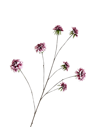 Zijden scabiosatak roze 115 cm