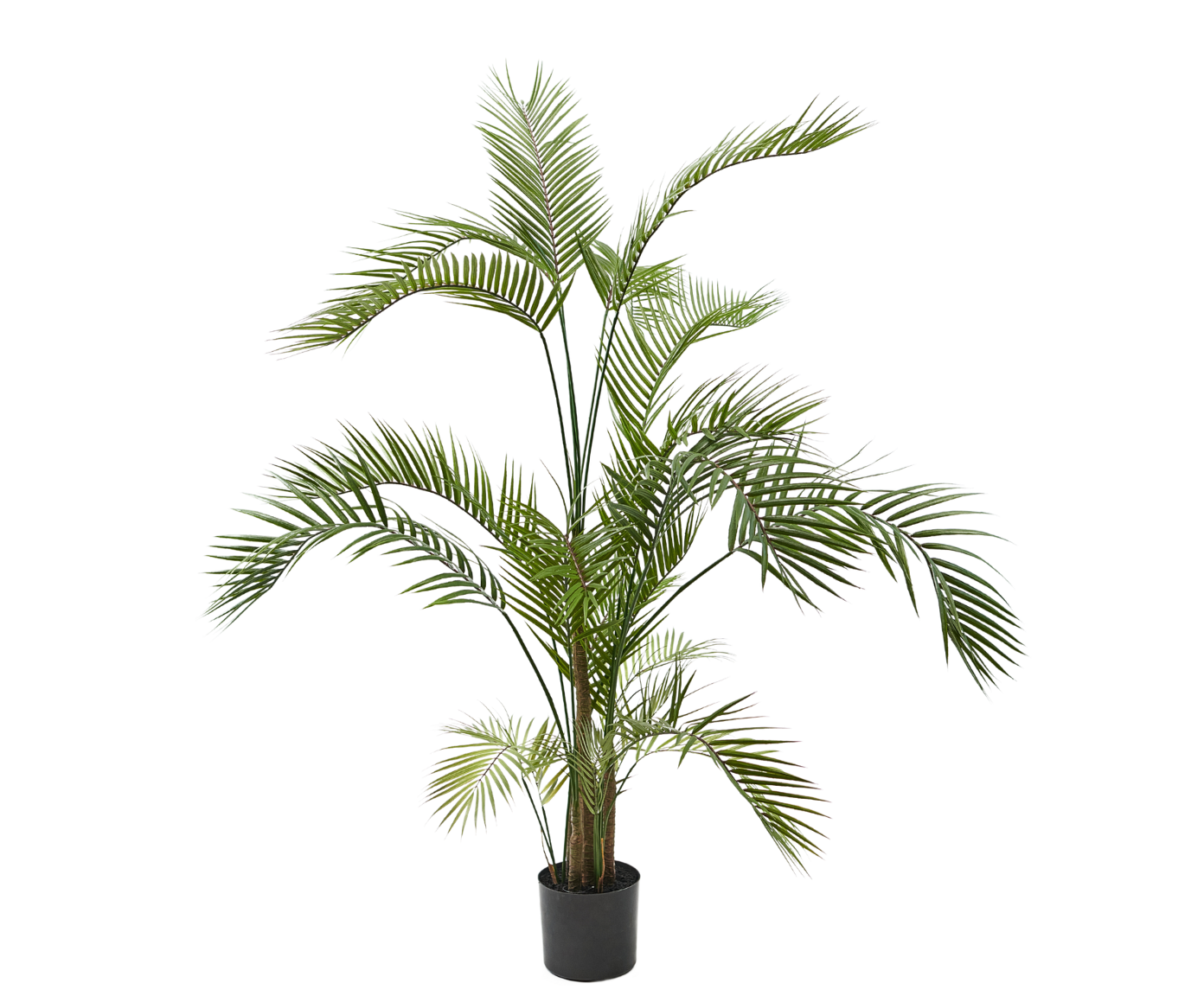 PALM GROEN 150 cm