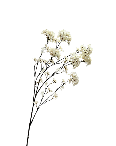 Zijden hydrangea tak crème 109 cm