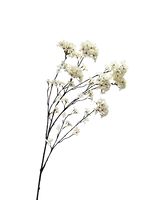 Zijden hydrangea tak crème 109 cm