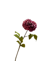 Zijden dahlia paars 75 cm
