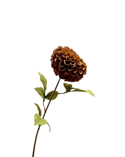 Zijden dahlia bruin 75 cm