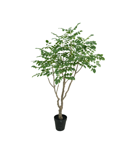 Sandalwood tree 240cm kunstboom