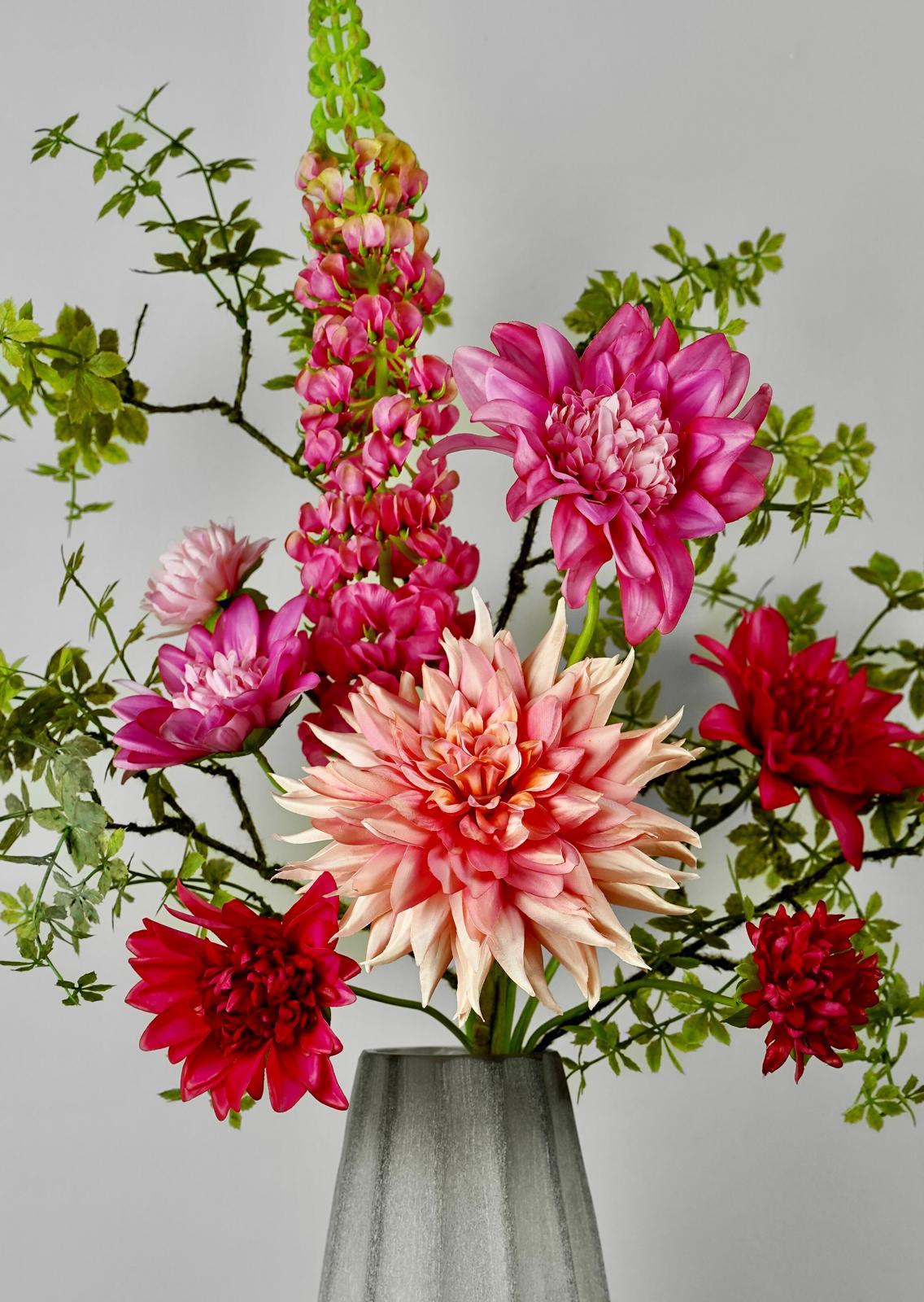 Dahlia's Blush
