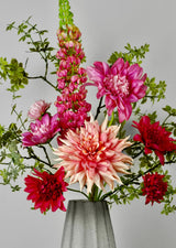 Dahlia's Blush