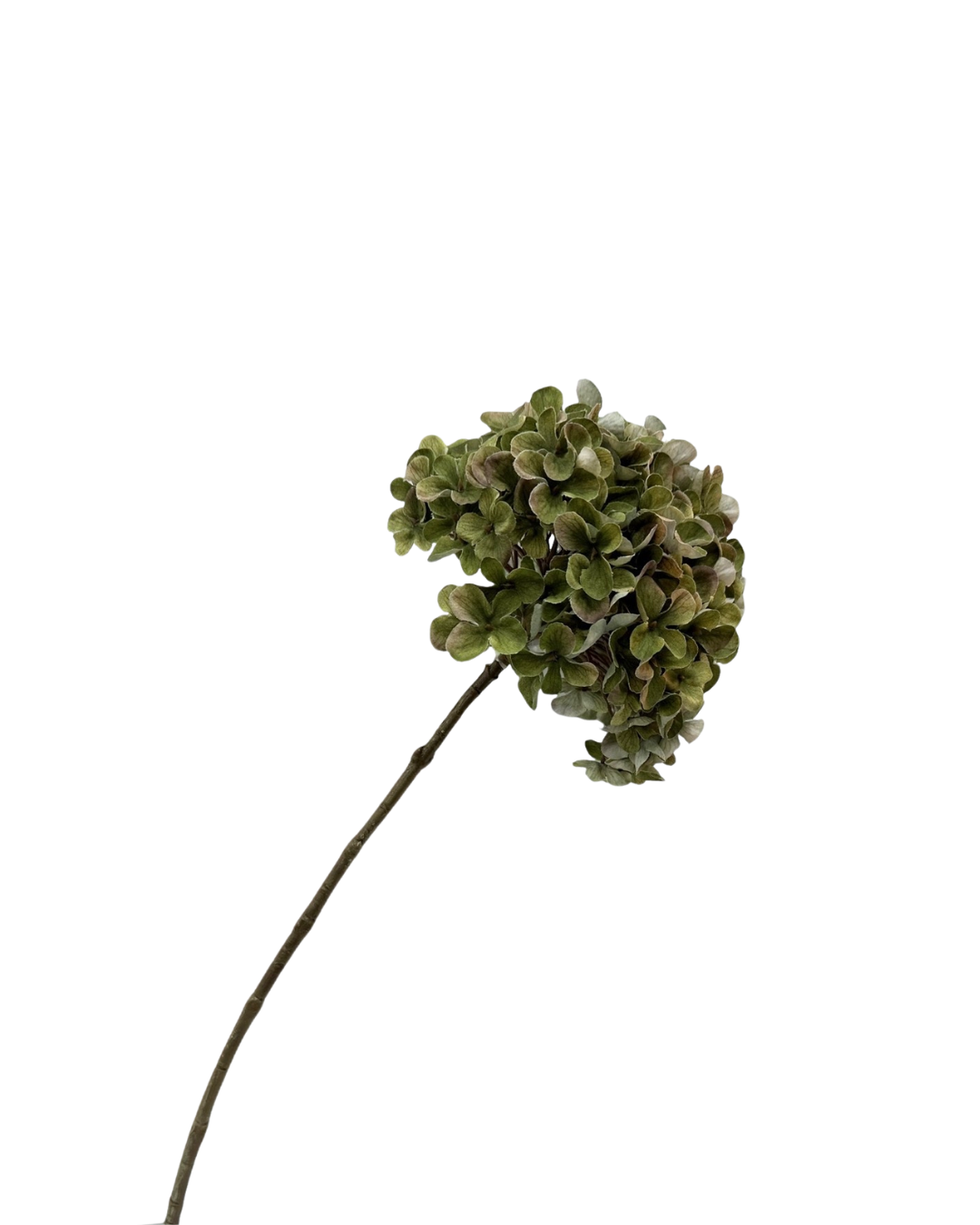 Hydrangea green | 65cm