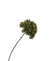 Hydrangea green | 65cm