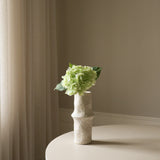 Light Green Hydrangea Flower