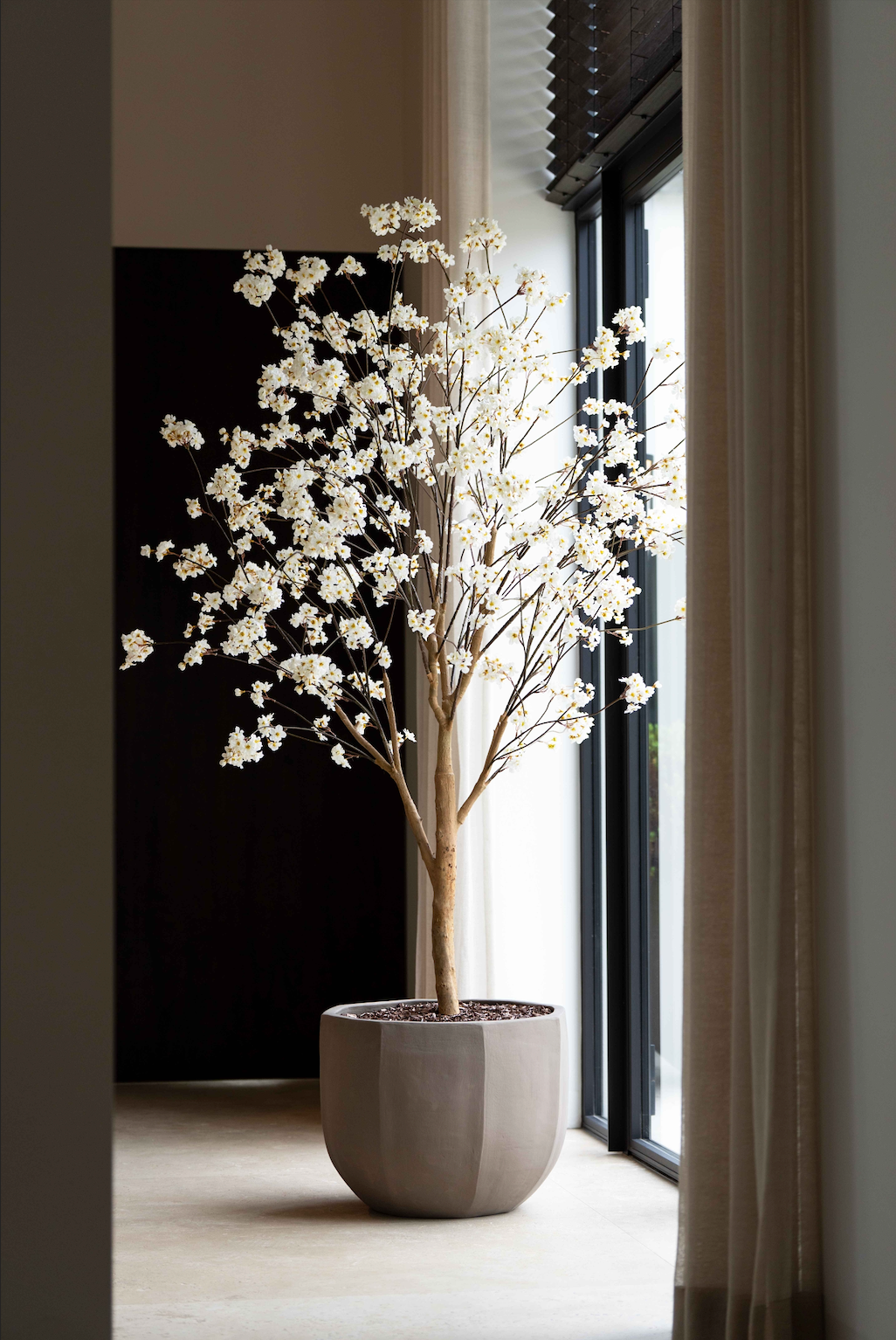 Bloesem boom crème | 220cm