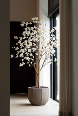 Bloesem boom crème | 220cm