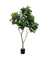 Fig tree 180cm kunstboom