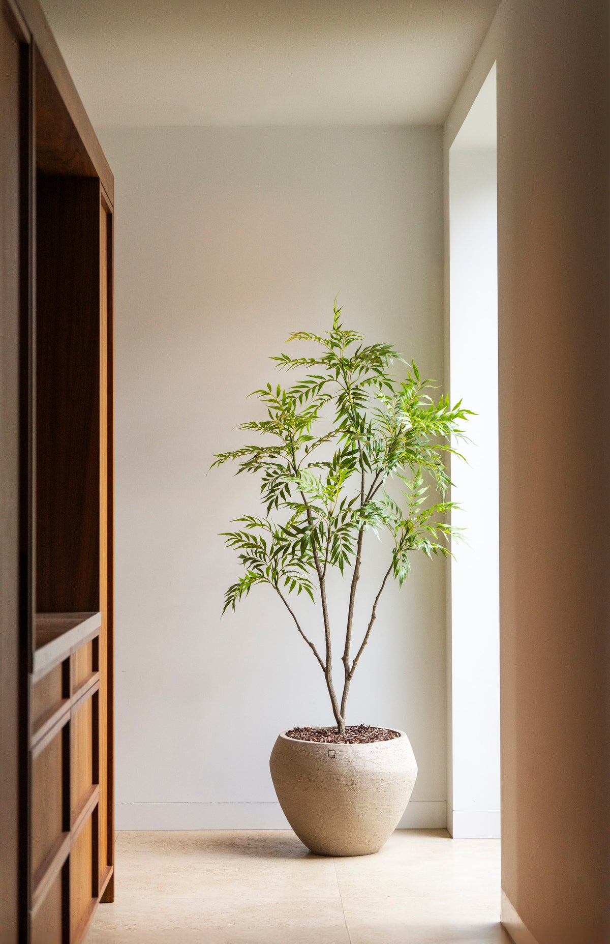 Bamboo tree 180cm sfeerfoto