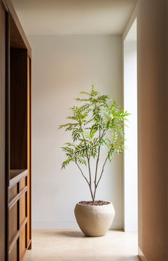 Bamboo tree 180cm sfeerfoto