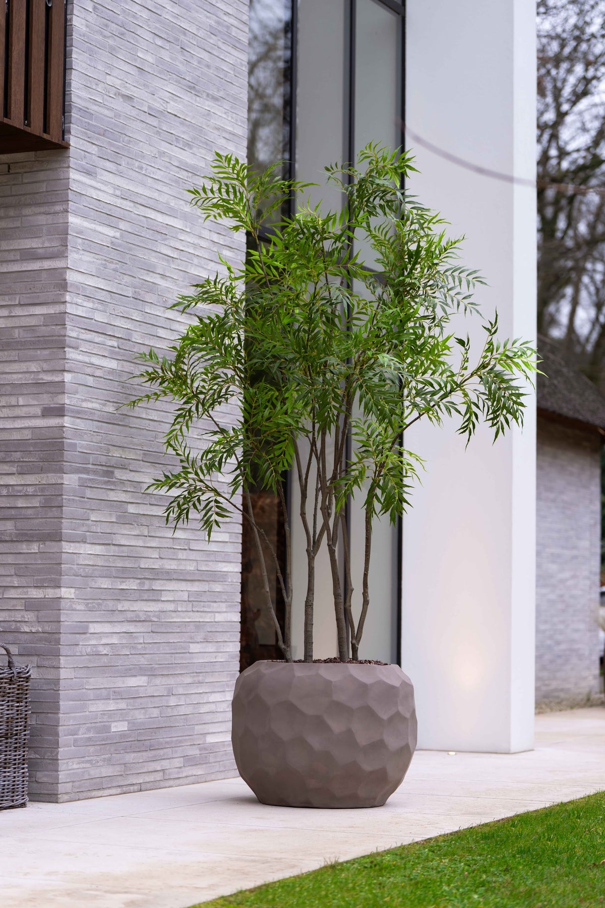 Bamboo tree 240cm sfeerfoto