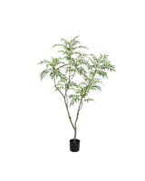 Bamboo tree | 150cm