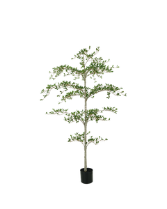 Black olive tree 180cm kunstboom