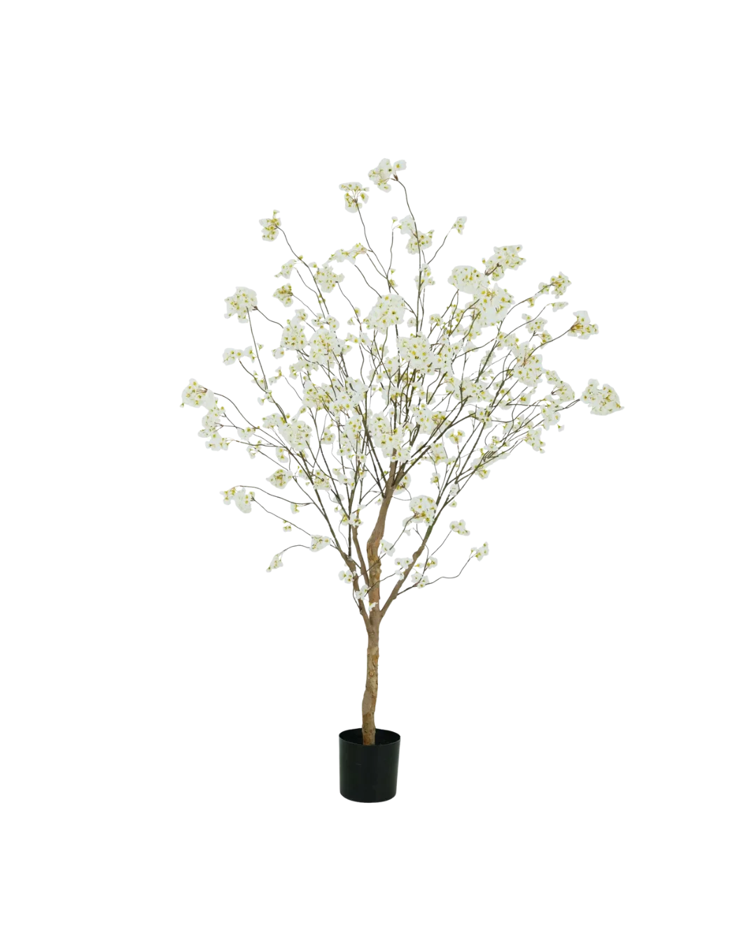 Bloesem boom crème | 180cm