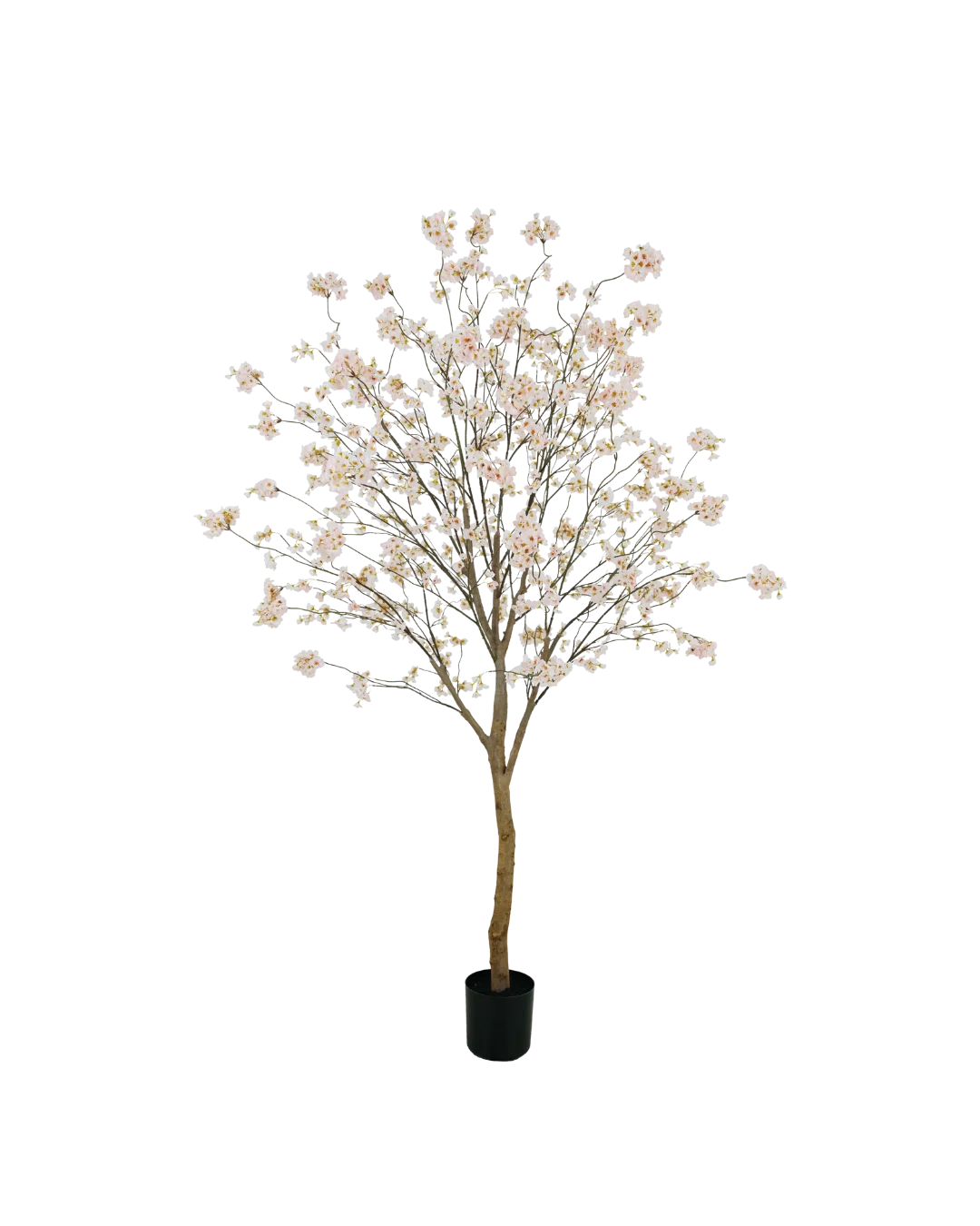 Bloesem boom roze | 180cm