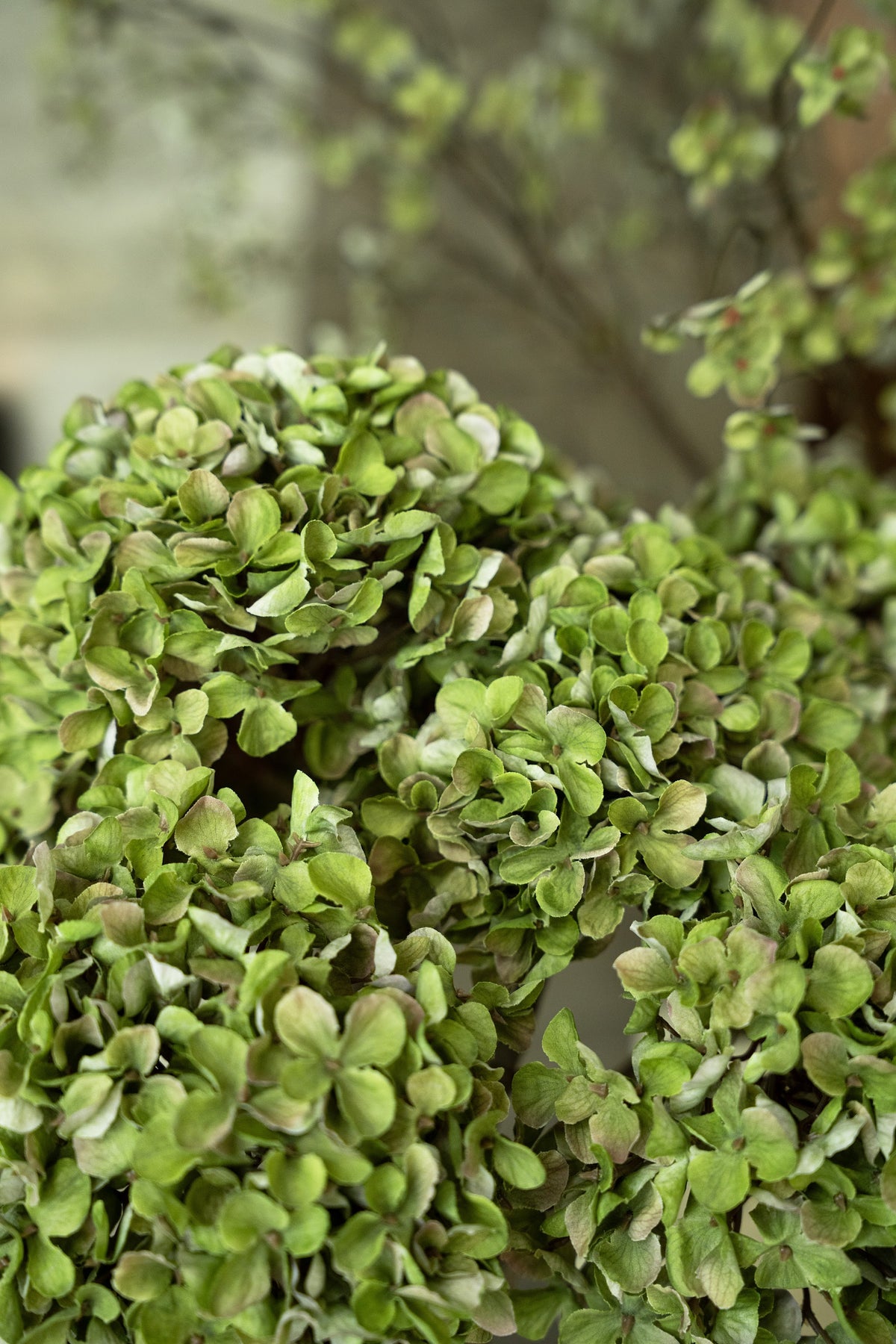 Hydrangea green 65cm sfeerfoto