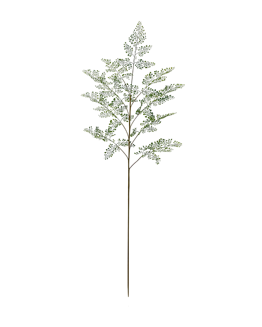 Zijden Adiantum tak 153 cm