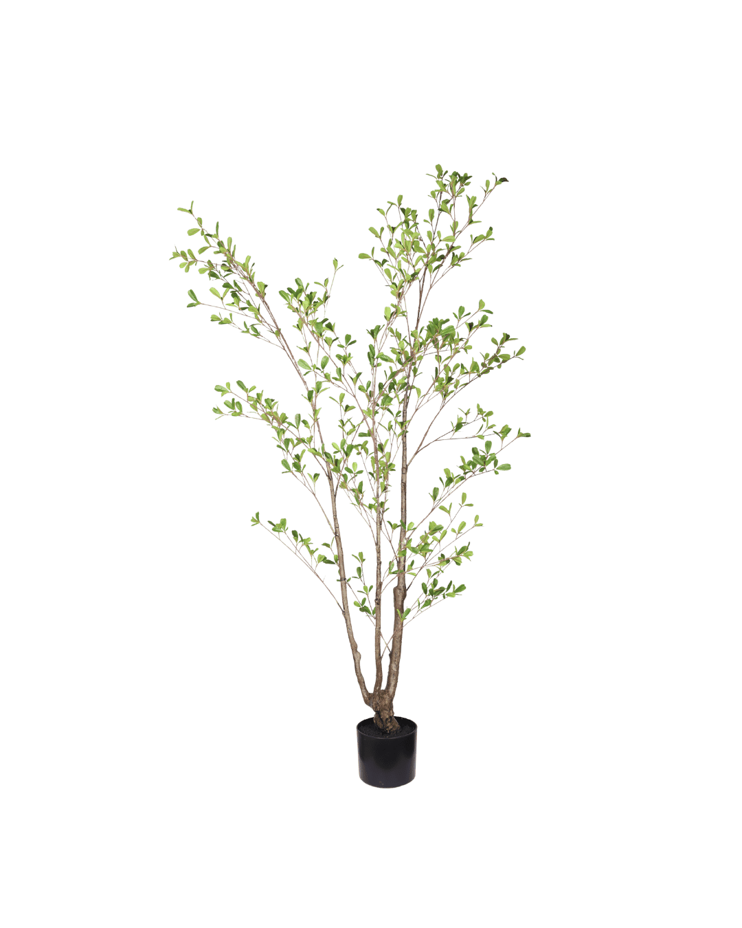Kunst seren leaf boom 150 cm