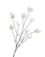 Zijden Premium Bloesemtak Crème 127 cm