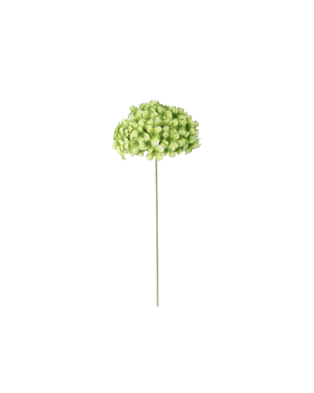 Zijden Hydrangea Groen 75 cm
