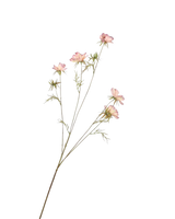 Zijden Cosmos Blush 100 cm