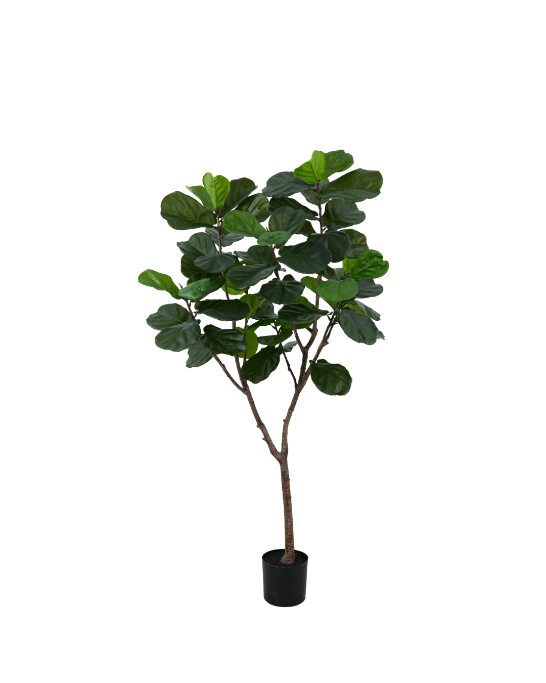 Kunst ficus lyrata 180 cm