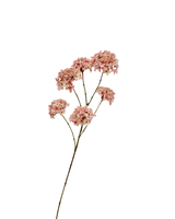 Zijden Hydrangea spray Nude Roze 95 cm