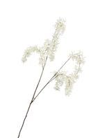 Zijden Wisteria Crème 145 cm