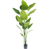 Kunst strelitzia 240 cm