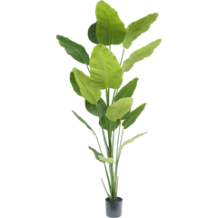 Kunst strelitzia 240 cm