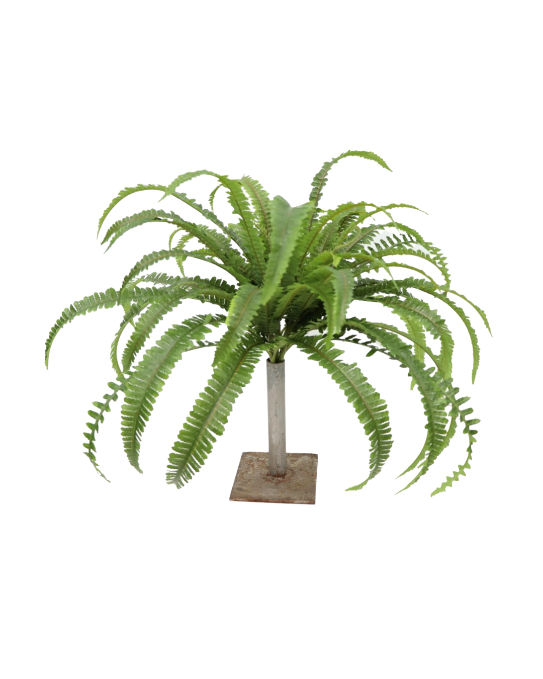 Kunstvaren Boston 76 cm
