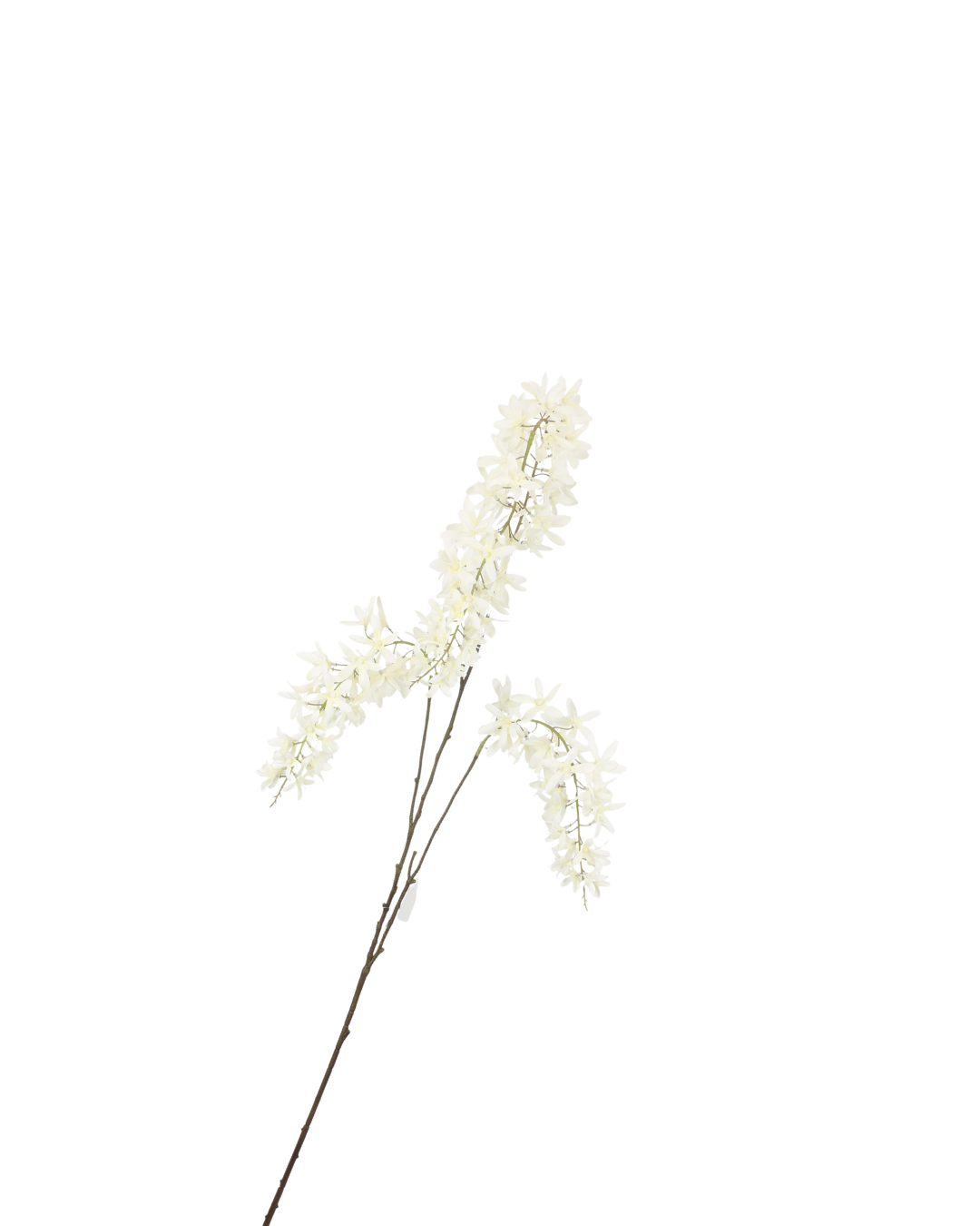 Zijden Wisteria Crème 110 cm