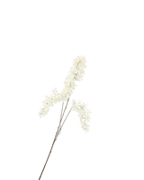 Zijden Wisteria Crème 110 cm