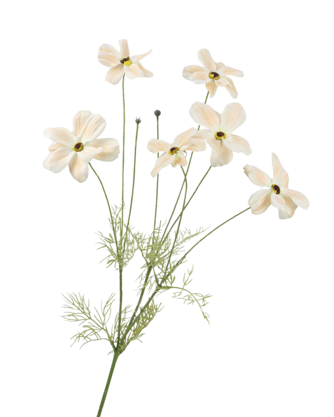 Zijden Cosmos Ivoor 85 cm