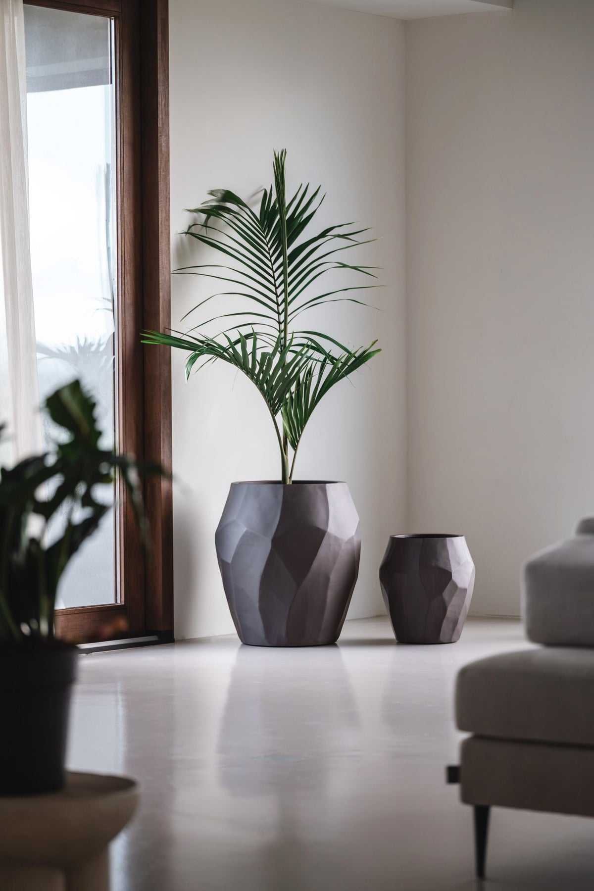 Liscio Facet plantenbak Ash Brown met palm in moderne woonkamer