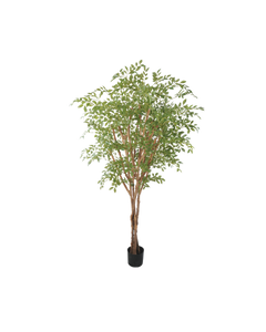 Nandina boom 180cm met echte houten stam